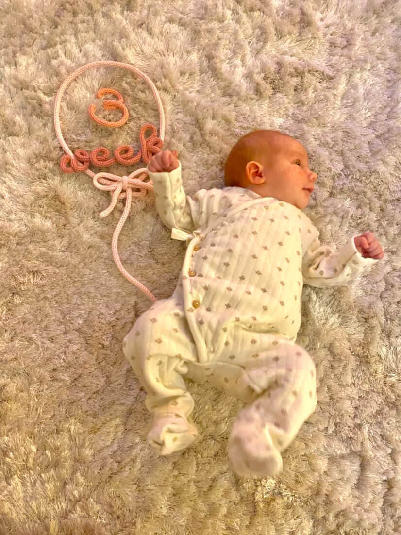 Handmade Knitted Wire Baby Milestone Set | Balloon & Numbers 1-12